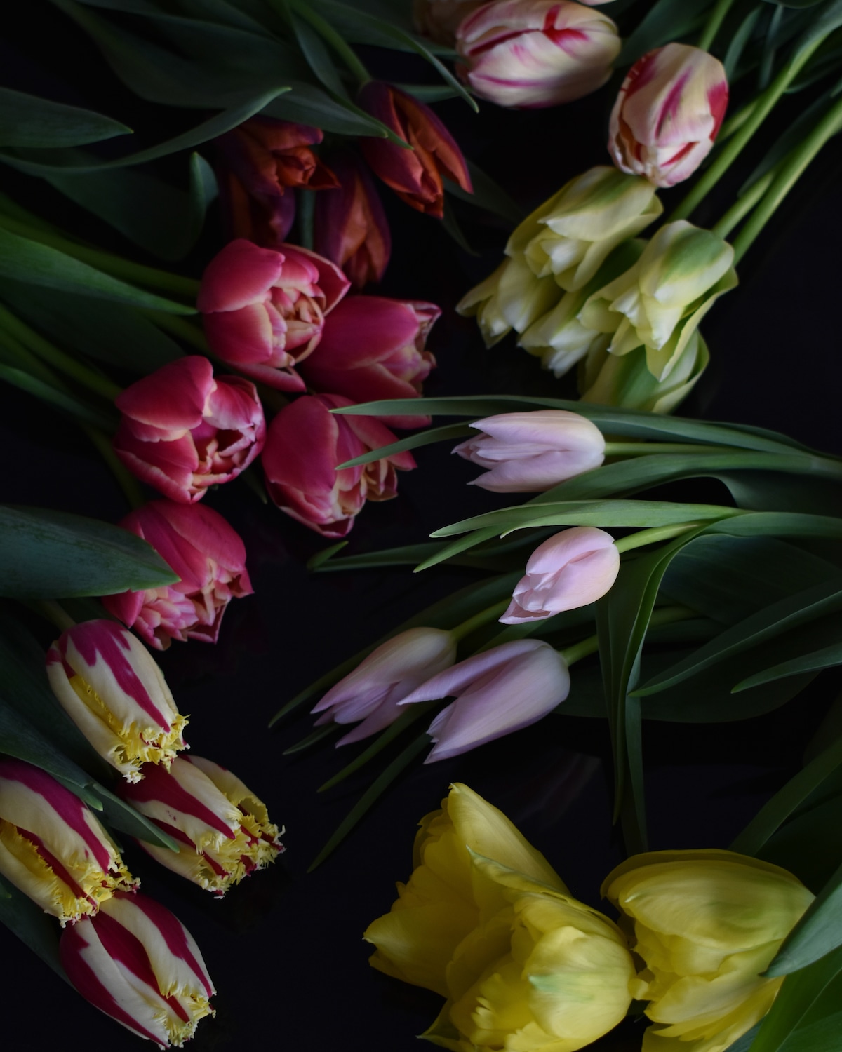 スタイリングの様子